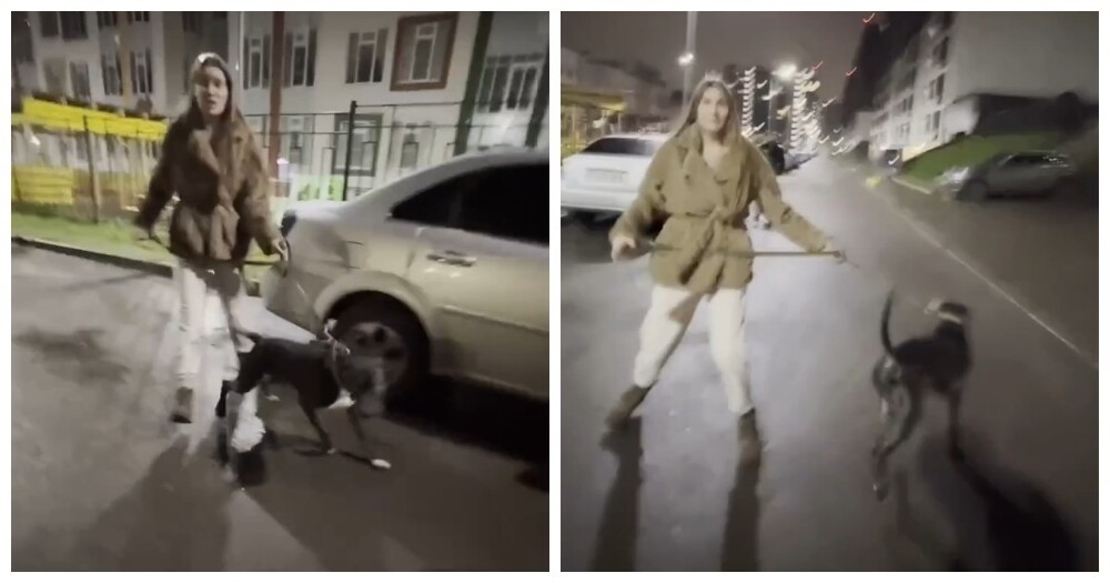 В Питере женщина спустила собаку на мужчину, сделавшего ей замечание
В Питере женщина спустила собаку на мужчину, сделавшего ей замечание