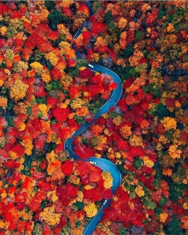 Подборка прикольных фото №3821