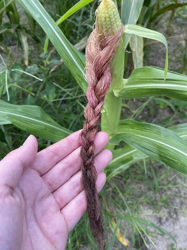 Подборка прикольных фото №3821