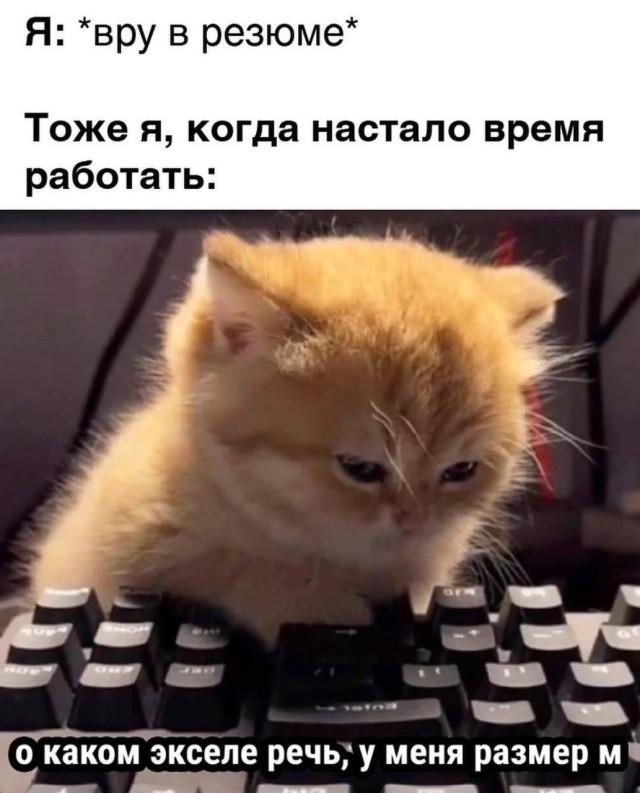 Подборка жизненных мемов о трудностях работы