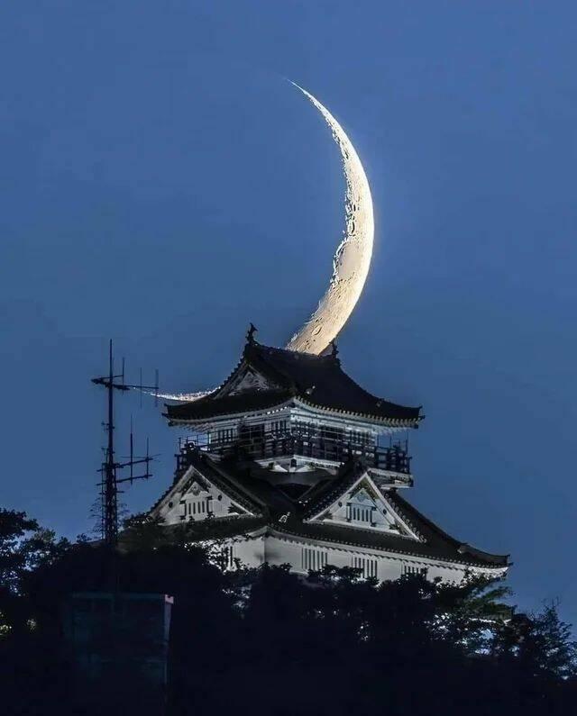 Подборка прикольных фото №3828