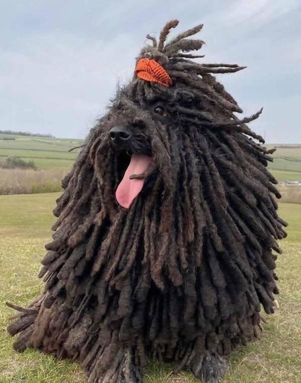 Подборка прикольных фото №3822