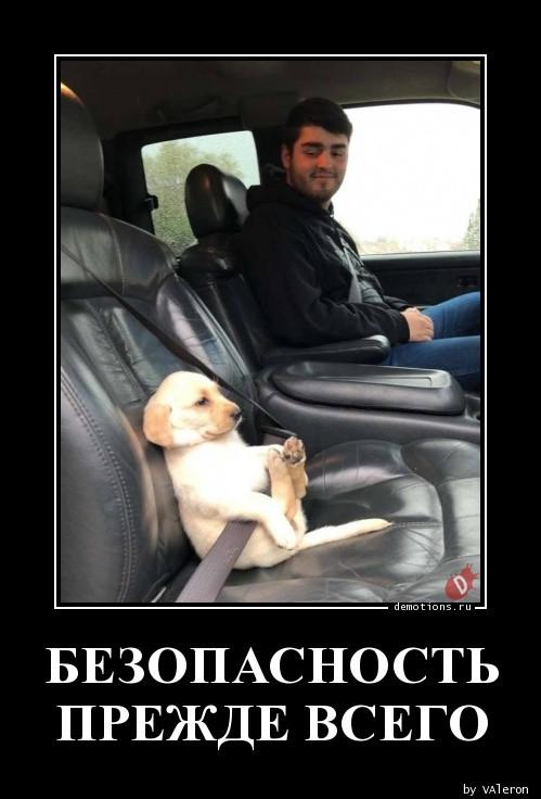 
			Демотиваторы №3772 (18 фото)