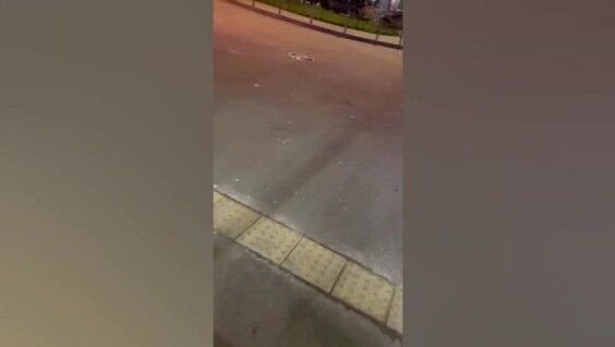 
        Нетрезвый собачник напал на&nbsp;мужчину и&nbsp;женщину в&nbsp;Санкт-Петербурге    