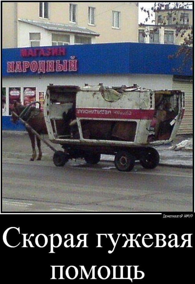 
			Демотиваторы №3775 (15 фото)