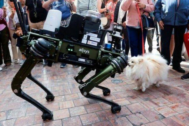 Подборка прикольных фото №3835