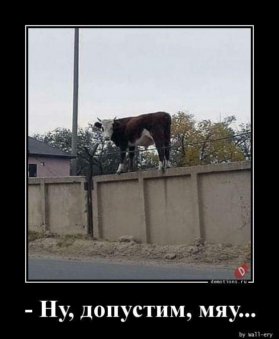 
			Демотиваторы №3773 (15 фото)