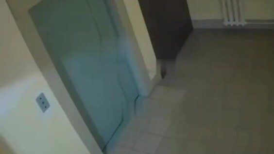 В Самаре мужчина ворует провода и оставляет жильцов без интернета
В Самаре мужчина ворует провода и оставляет жильцов без интернета