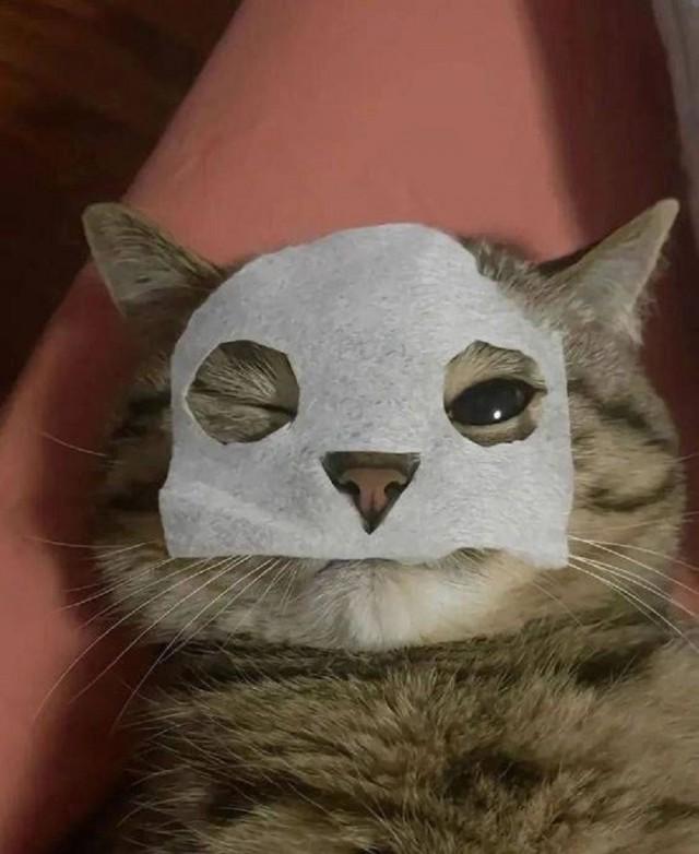 Подборка прикольных фото №3824