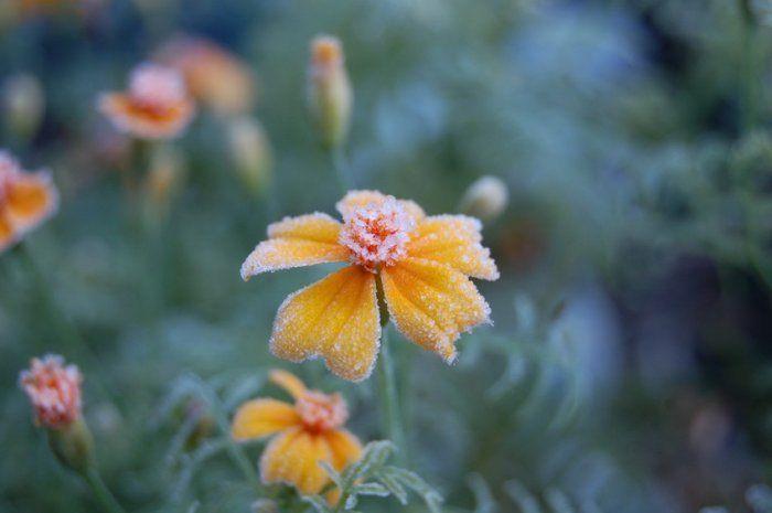 Подборка прикольных фото №3833