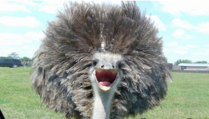 Подборка прикольных фото №3829