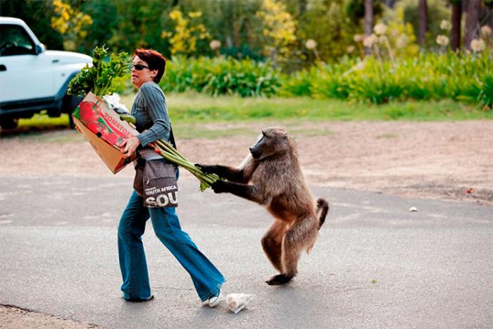 Подборка прикольных фото №3829