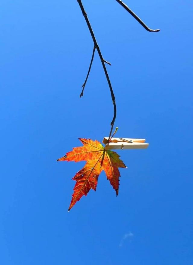 Подборка прикольных фото №3824