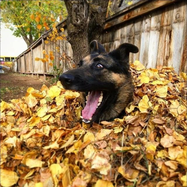 Подборка прикольных фото №3819