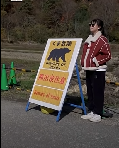 Япония тестирует «лающие дроны», чтобы отгонять медведей от людей
Япония тестирует «лающие дроны», чтобы отгонять медведей от людей