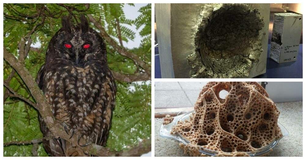 
        30&nbsp;впечатляющих снимков со&nbsp;всего света    