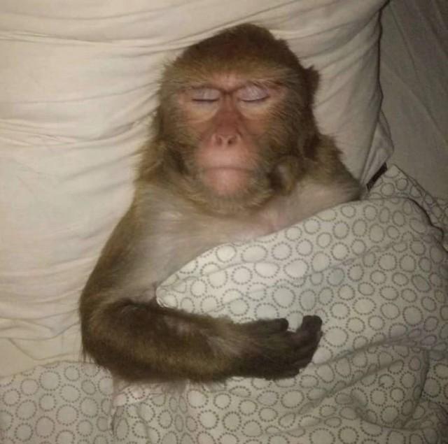 Подборка прикольных фото №3833