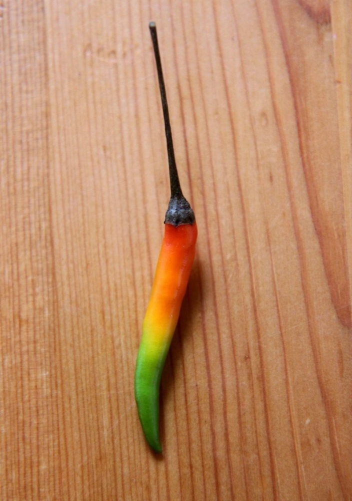 20 снимков, подтверждающих, что мир в деталях гораздо интереснее
20 снимков, подтверждающих, что мир в деталях гораздо интереснее