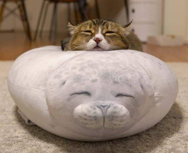 Подборка прикольных фото №3820