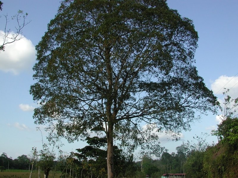 7 неожиданных фактов, меняющих представление о реальности
7 неожиданных фактов, меняющих представление о реальности