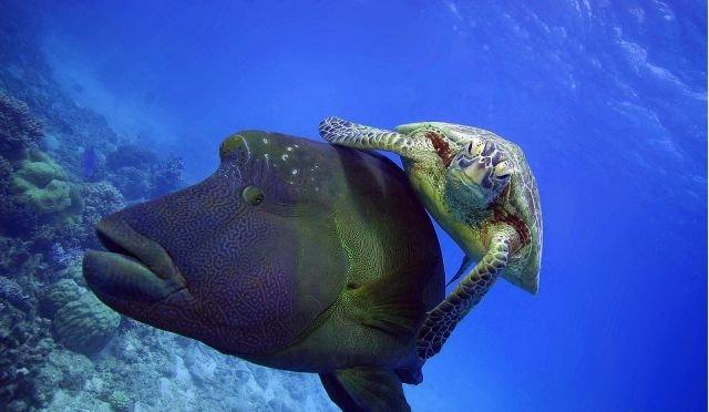 Подборка прикольных фото №3830