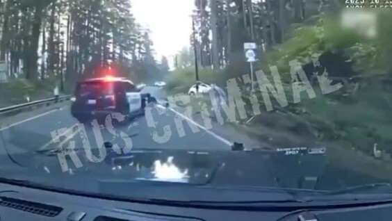 
        Американец попытался выхватить табельное оружие у&nbsp;заместителя шерифа    