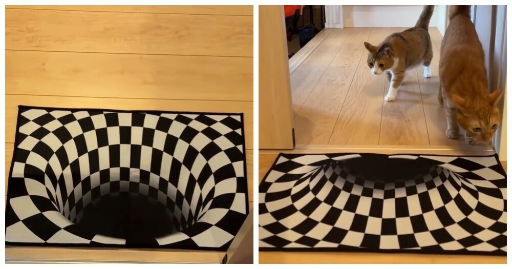 
        Коты обходят стороной коврики с&nbsp;оптической иллюзией    