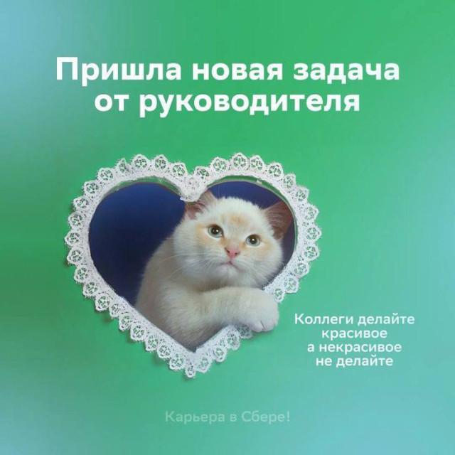 Подборка жизненных мемов о трудностях работы