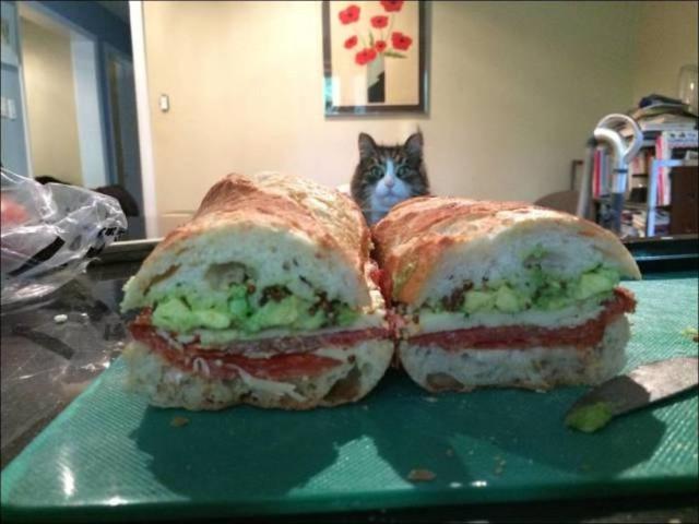 Подборка прикольных фото №3819