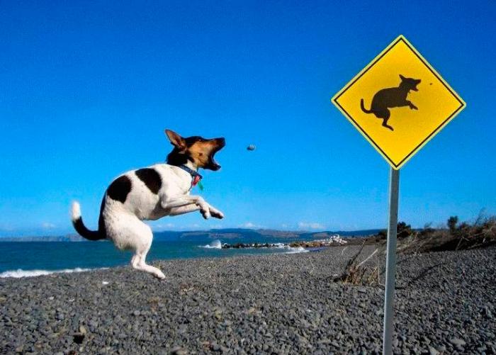 Подборка прикольных фото №3829