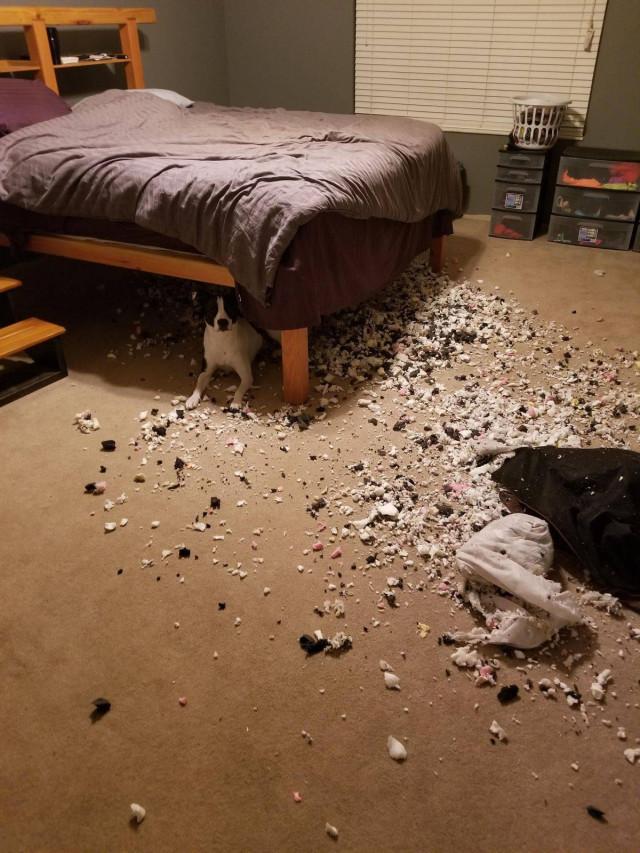 Подборка прикольных фото №3819