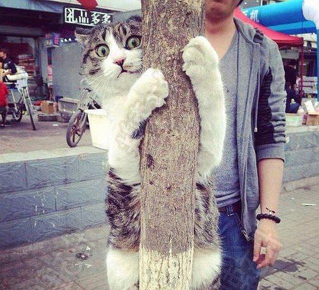 Подборка прикольных фото №3830