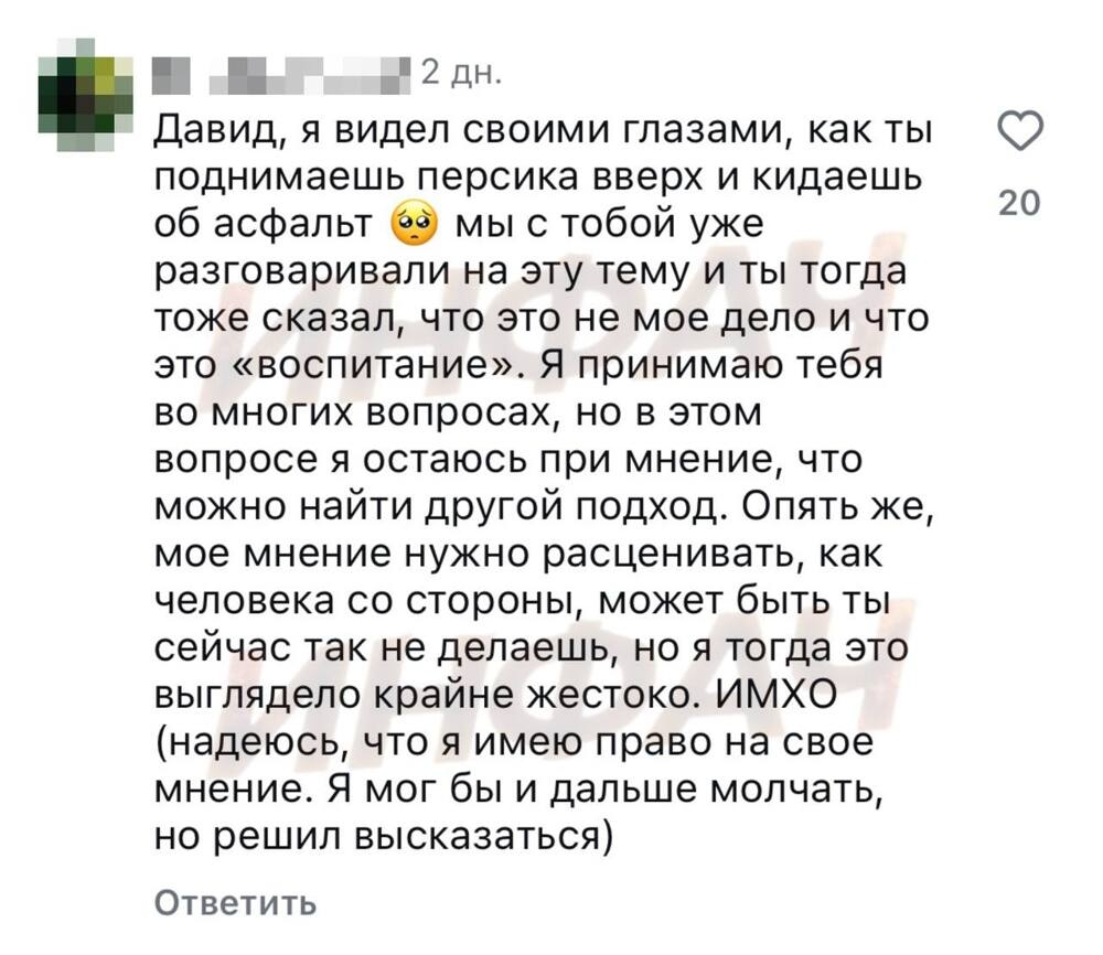 Собачник против прохожей: драка и газовый баллон после жестокого поступка
Собачник против прохожей: драка и газовый баллон после жестокого поступка
