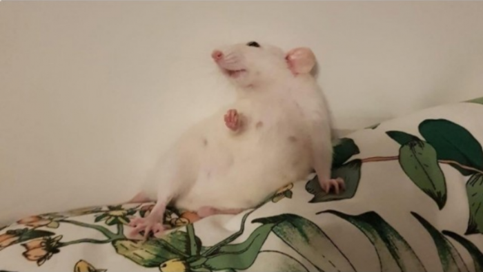 Подборка прикольных фото №3819