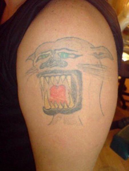 Подборка картинок. Вечерний выпуск - 27.11.2025 (30 фото)