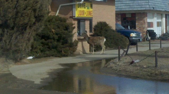 Подборка картинок. Вечерний выпуск - 27.11.2025 (30 фото)