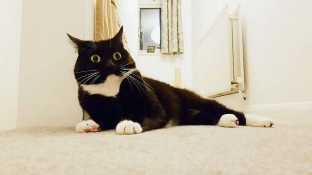 Подборка прикольных фото №3819