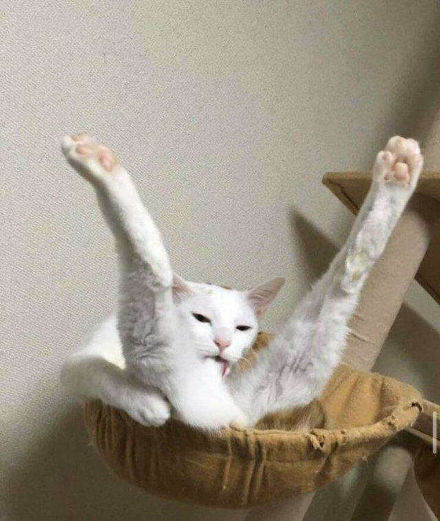 Подборка прикольных фото №3834