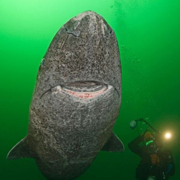 Подборка картинок. Вечерний выпуск - 27.11.2025 (30 фото)