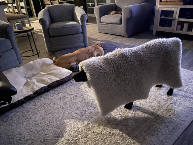 Подборка прикольных фото №3824