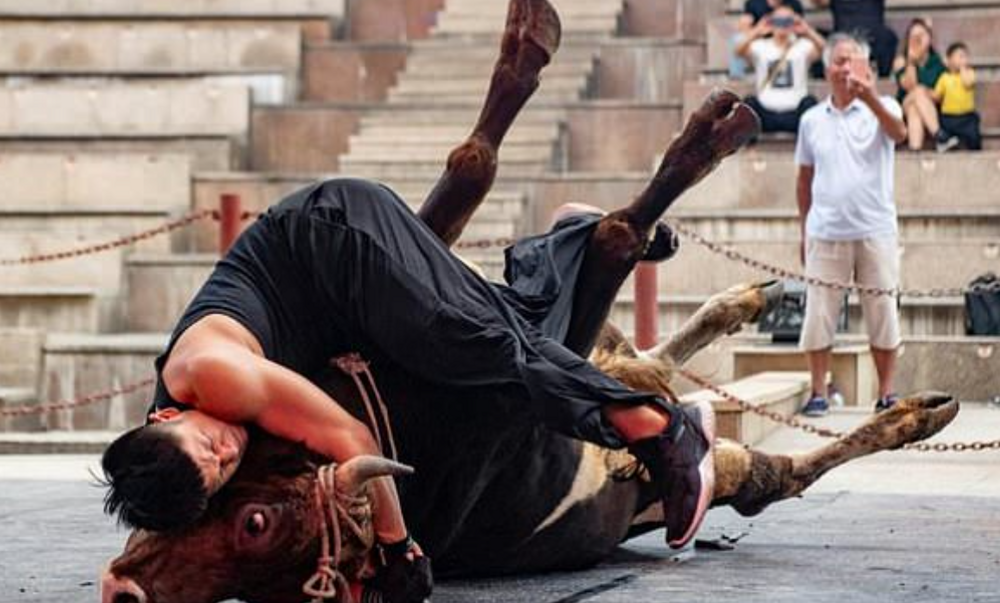 Китайская борьба с быком голыми руками
Китайская борьба с быком голыми руками