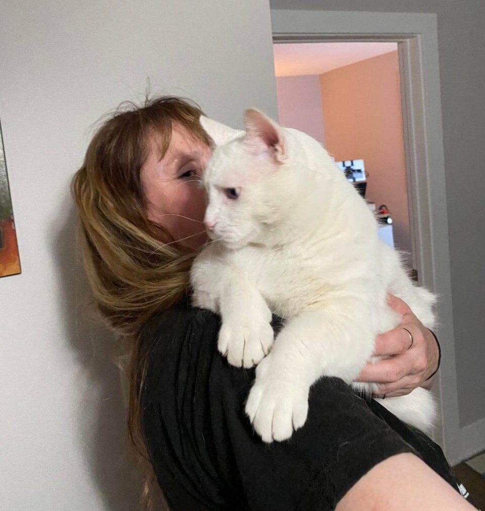 
        18&nbsp;котиков, которые благодаря своим размерам могут считаться сразу за&nbsp;двух питомцев    