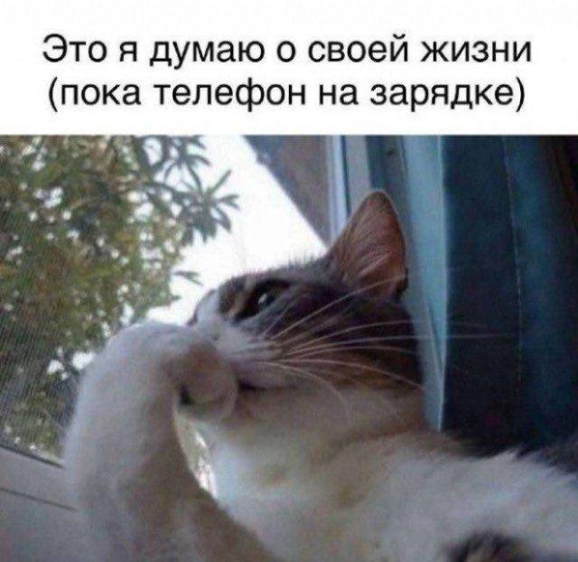 Люди, животные и предметы, которые идеально спрятались на виду