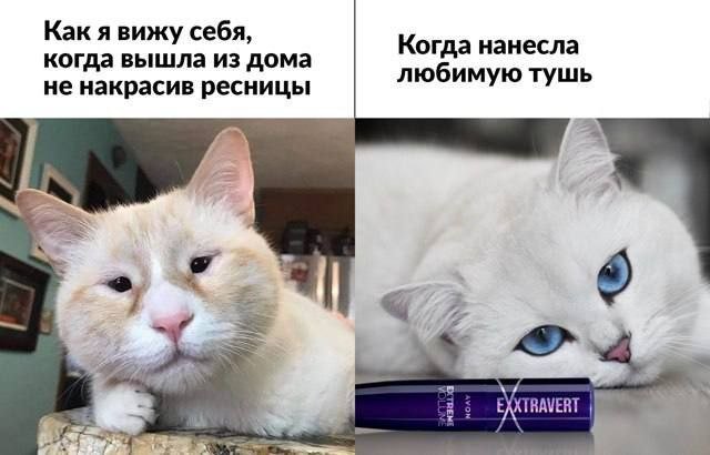 Лучшие шутки и мемы из Сети - 14.11.2025 (15 фото)