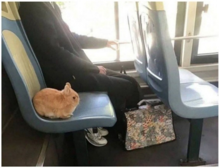 Подборка прикольных фото №3825