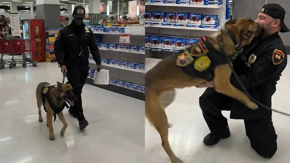 
        Служебный пёс узнал своего первого хозяина и моментально растаял    