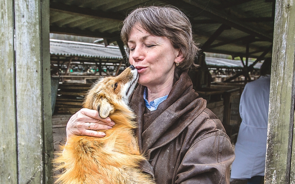 
        5&nbsp;причин не&nbsp;заводить лису: дыры в&nbsp;полу, руки в&nbsp;крови, вонища адская!    