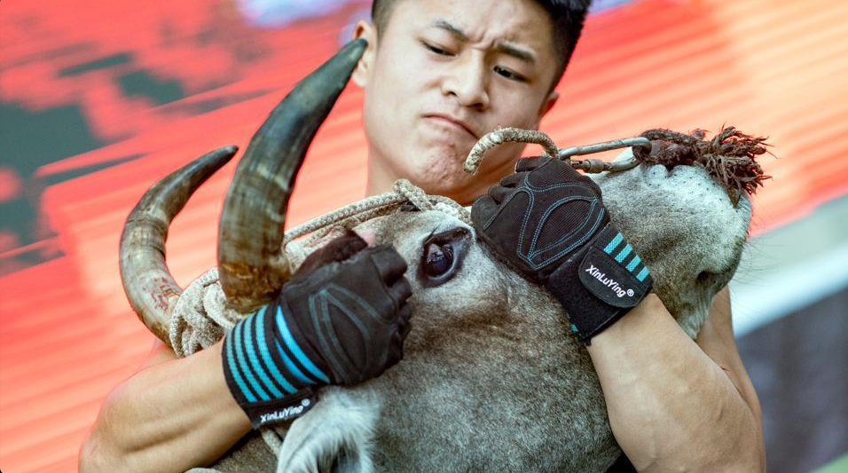 Китайская борьба с быком голыми руками
Китайская борьба с быком голыми руками