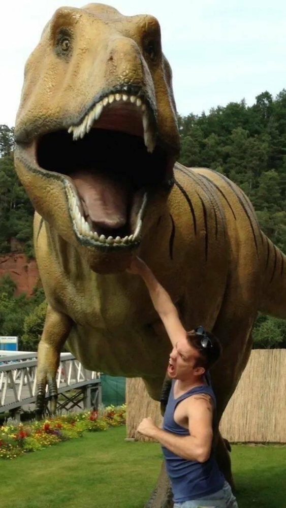 Подборка прикольных фото №3831