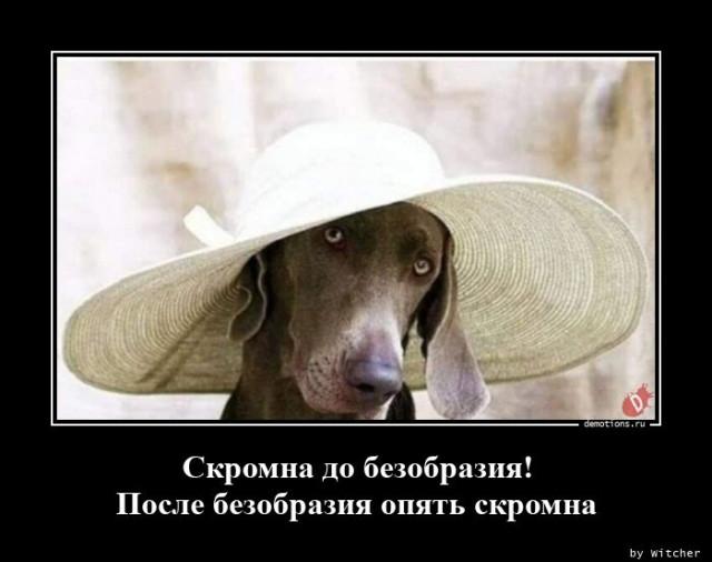 
			Демотиваторы №3771 (15 фото)